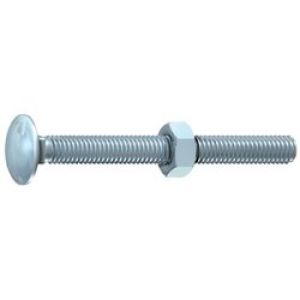 Carriage Bolts & Nuts