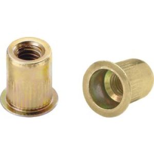 8mm Threaded Insert Nut (Sold Individually)