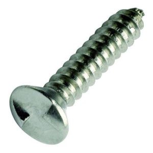 Non-Reversible Security Screws